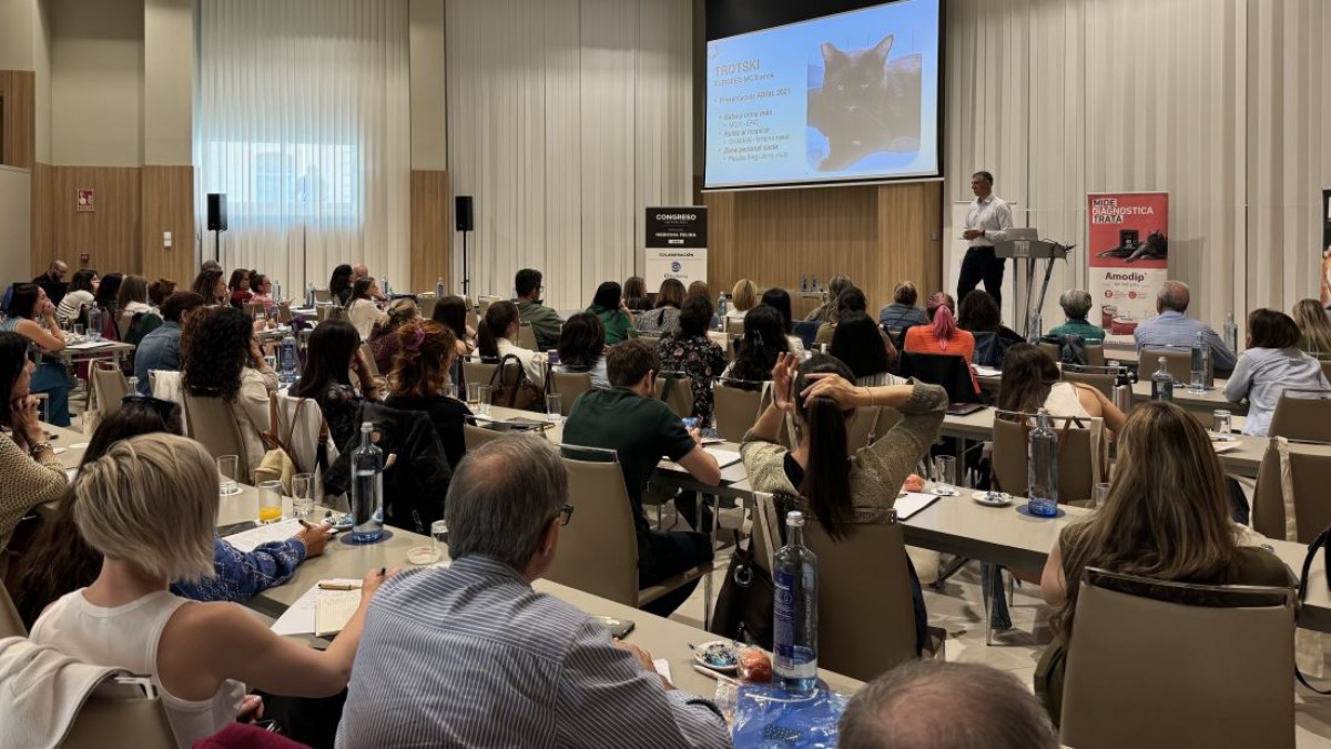 Éxito en el Congreso Centauro de Medicina Felina en Málaga