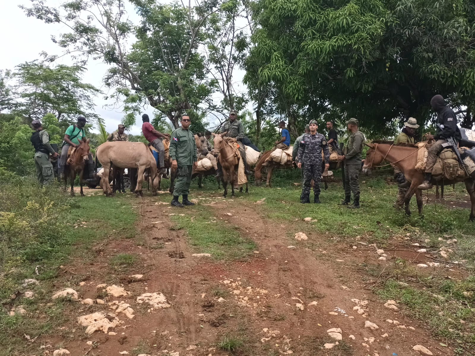 Intervención en Los Haitises concluye con el arresto de 439 desaprensivos que depredaban el parque nacional