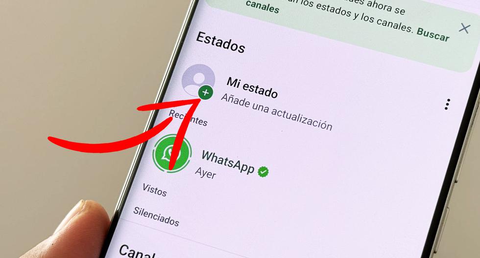 Cuál es la sorprendente modificación en los estados de WhatsApp | DEPOR-PLAY