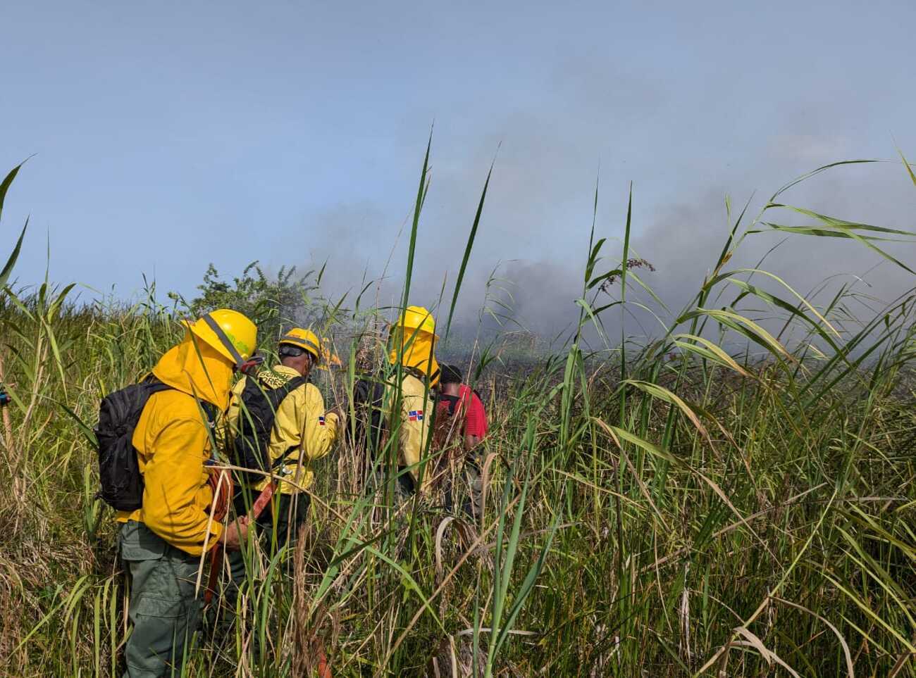 Bomberos forestales y guardaparques extinguieron el incendio en Cabarete y Goleta