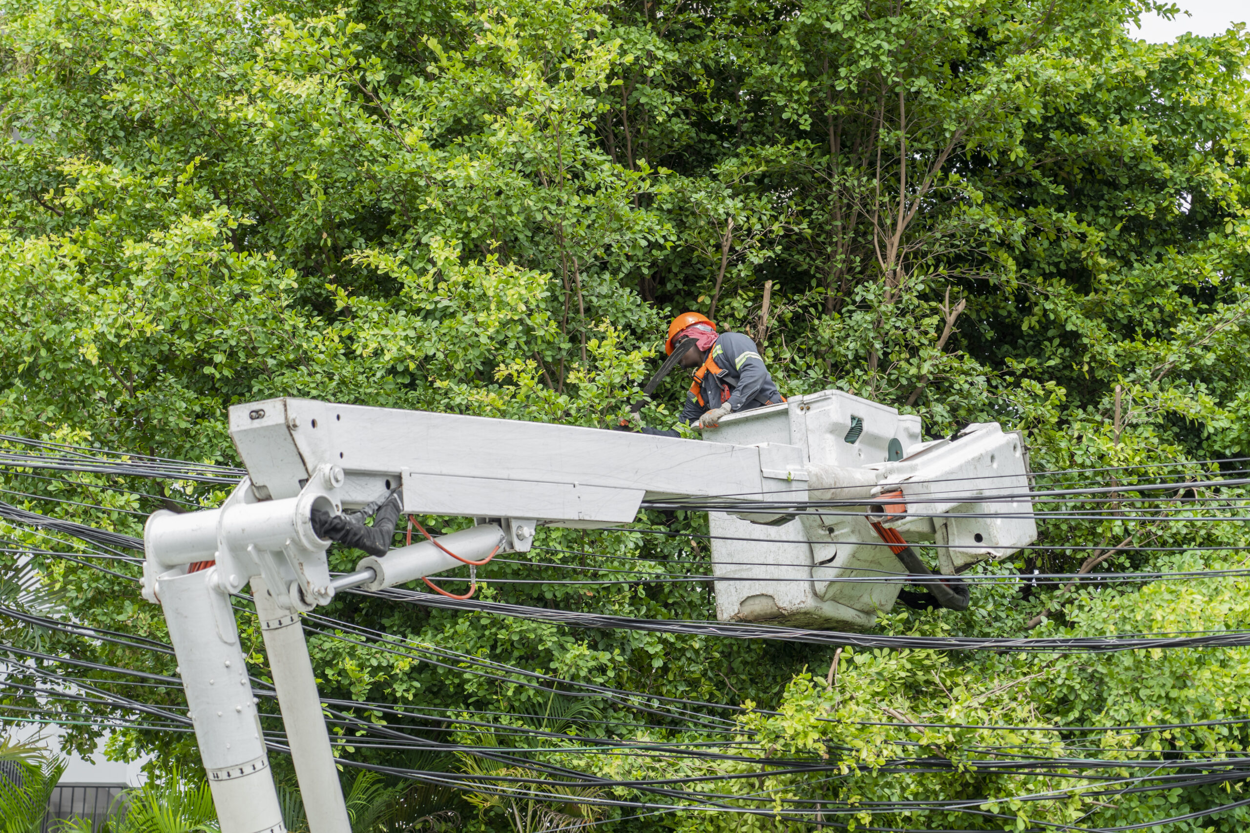 Edesur refuerza medidas circuitos eléctricos de Barahona, Pedernales, Neiba y Jimaní, por huracán Beryl