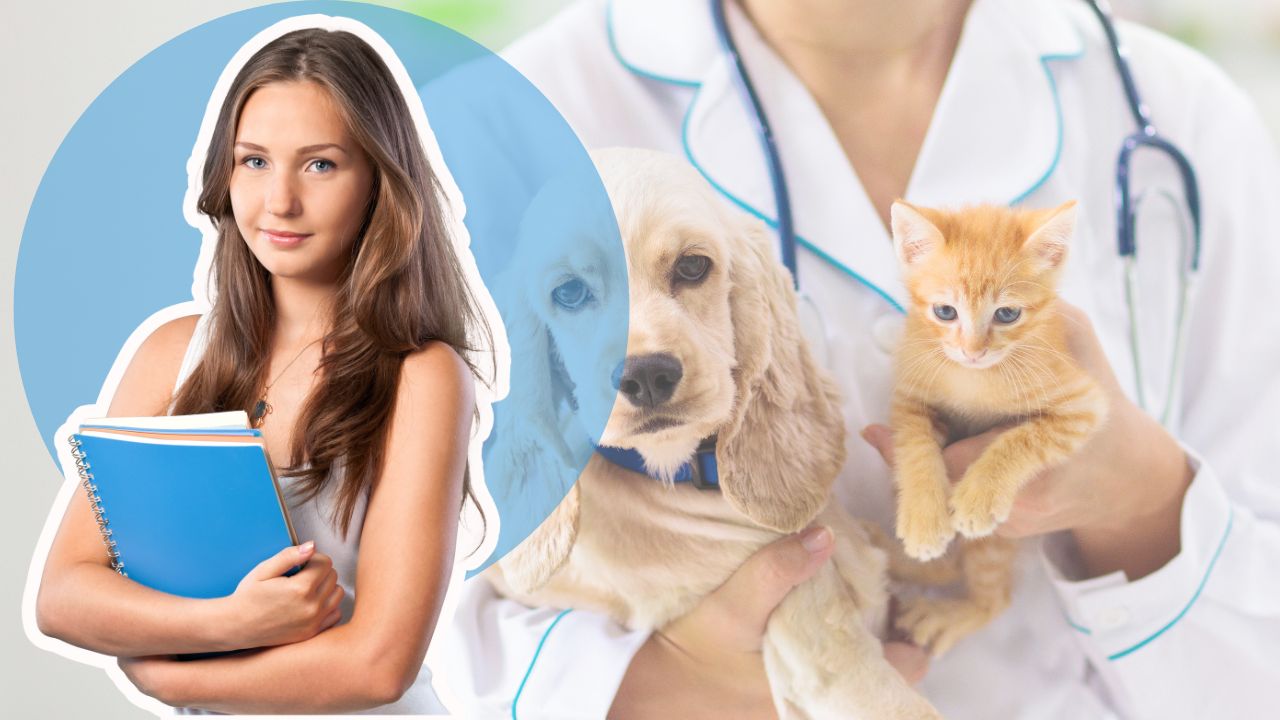 ¿Te interesa la veterinaria? La Universidad de Edimburgo ofrece curso gratis