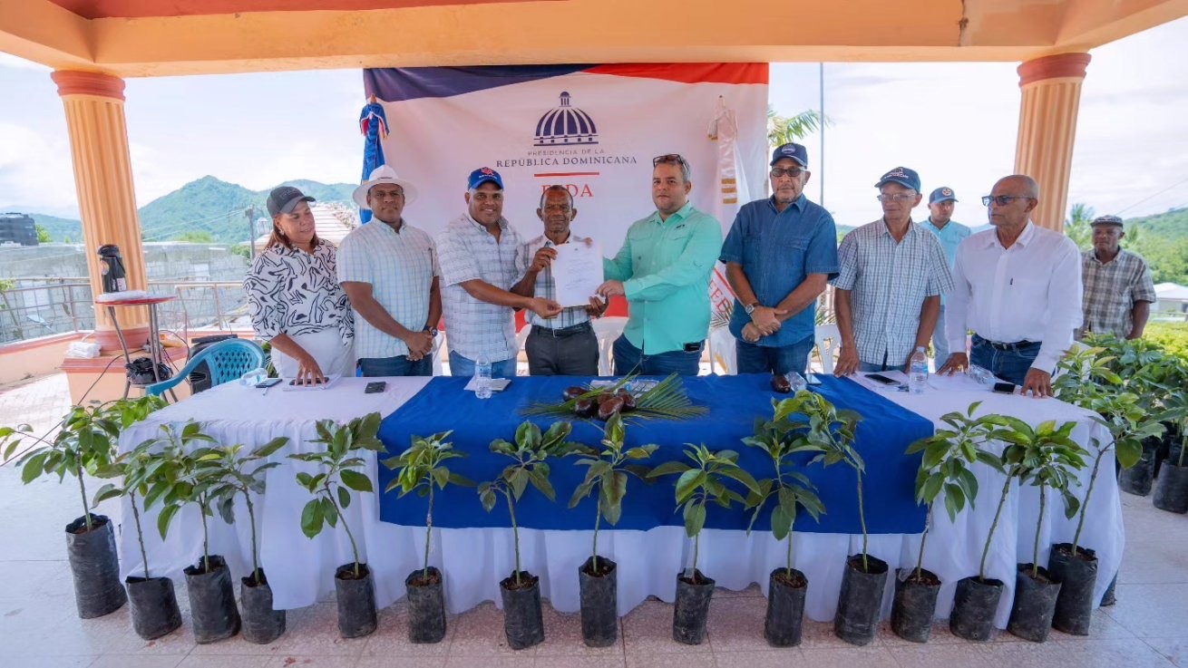 FEDA capacita y dona 10,000 plántulas de aguacate, en distrito municipal de El Yaque