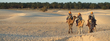 Marruecos necesita más cultivos para competir con España. Así que se va a poner a regar el desierto del Sáhara