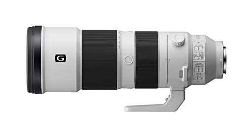 Sony FE 200-600 mm f/5.6-6.3 G OSS