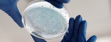 Todas estas bacterias superchungas habitan en tu cuerpo (y no pasa nada)