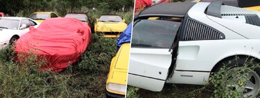 En estos campos está la mayor acumulación de Ferraris sin dueño del planeta. El problema es que nadie sabe su ubicación