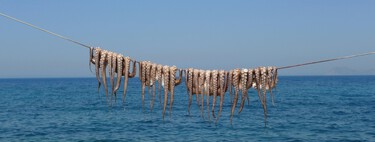 Reino Unido está viviendo una invasión sin precedentes: en seis meses han capturado más pulpos que toda la flota gallega en dos años
