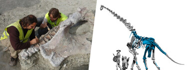 Acabamos de descubrir un dinosaurio enorme en España. Debajo de las obras del AVE