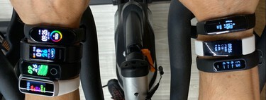 Mejores pulseras de actividad. Cuál comprar y modelos más recomendados desde 25 euros