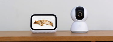 Mejores cámaras de vigilancia: cuál comprar y 11 modelos recomendados para interiores, exteriores, bebés y mascotas
