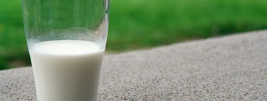 Llevamos años escuchando que los adultos no tienen que beber leche. Los últimos estudios dicen todo lo contrario