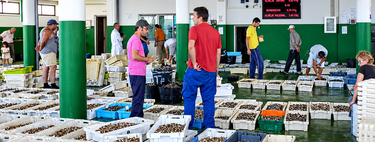 Galicia se las está viendo con una crisis hasta hace poco inimaginable: un 52% menos de marisco que hace diez años