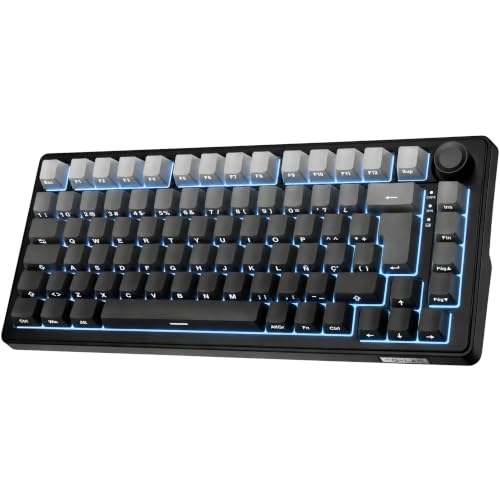 The G-Lab Keyz Elite 300 GRG - Teclado Inalámbrico TKL Mecánico QWERTY con Ñ